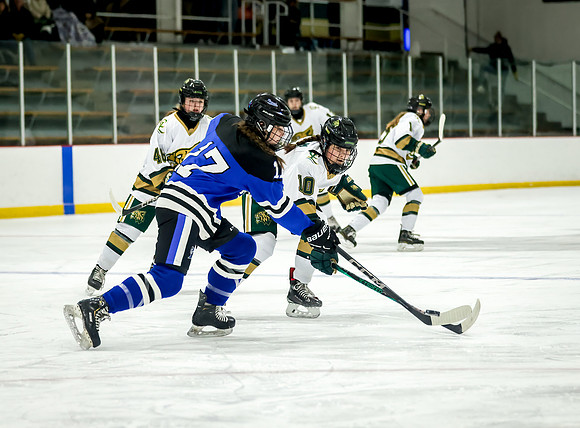 Chisago vs Rogers Varsity Hockey 187
