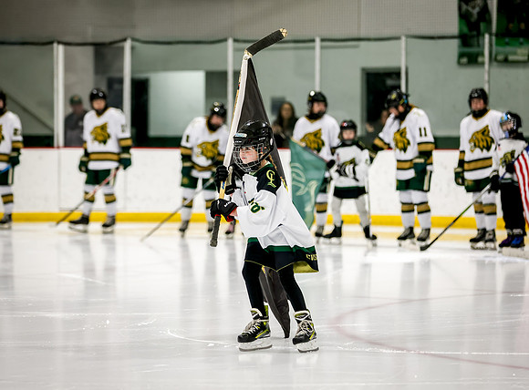 Chisago vs Rogers Varsity Hockey 78