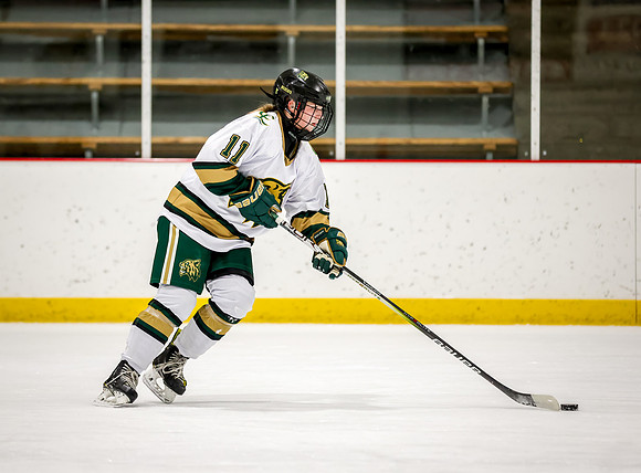 Chisago vs Rogers Varsity Hockey 36