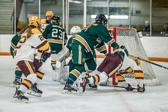 Chisago vs Forest Lake Varsity Hockey 417