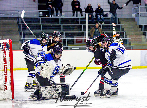 Centennial-Spring Lake Park vs Rogers Girls Varsity Hockey 309