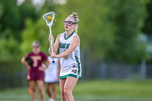 Chisago Lakes vs Forest Lake Varsity 493