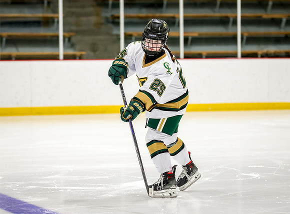 Chisago vs Rogers JV Hockey 18