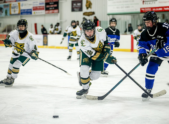 Chisago vs Rogers JV Hockey 391