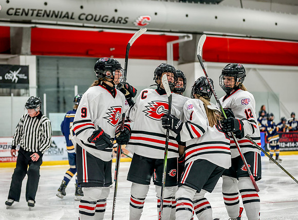 Centennial vs Rosemount Varsity Hockey 287