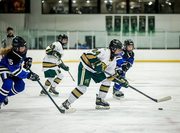 Chisago vs Rogers JV Hockey 396
