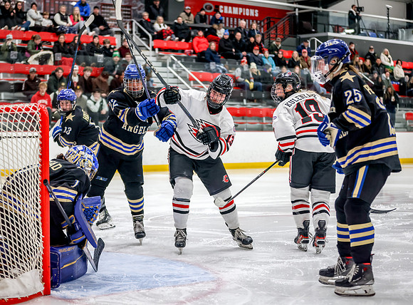 Centennial vs Holy Angels Varsity Hockey 83