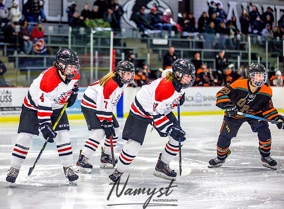 Centennial vs Osseo-Park Center Varsity Hockey 252