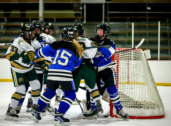 Chisago vs Rogers JV Hockey 297