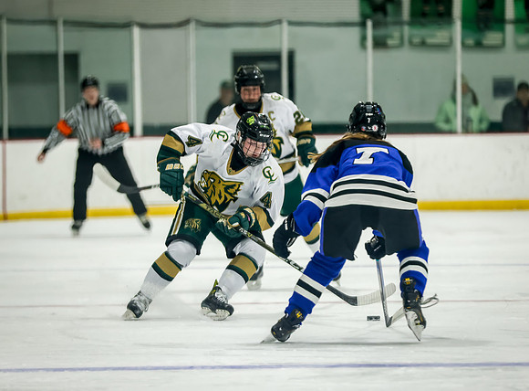 Chisago vs Rogers Varsity Hockey 203