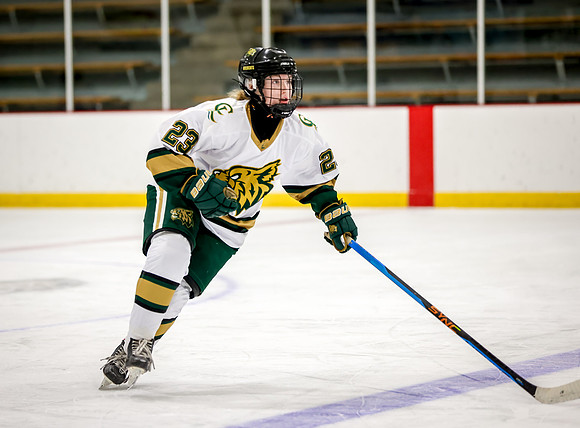 Chisago vs Rogers Varsity Hockey 11