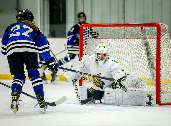 Chisago vs Rogers JV Hockey 198