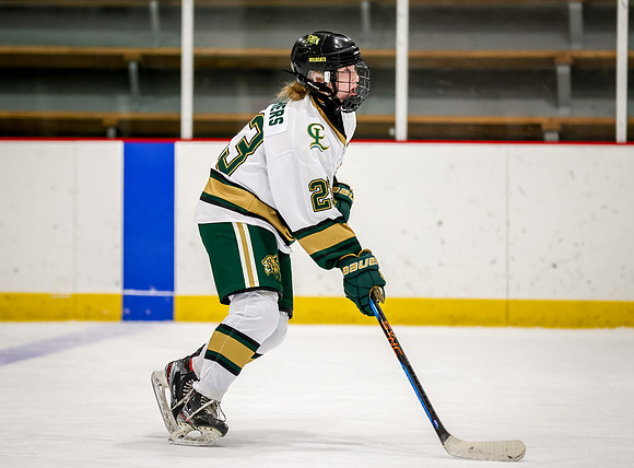 Chisago vs Rogers Varsity Hockey 34