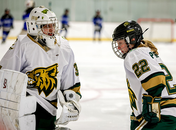 Chisago vs Rogers JV Hockey 56