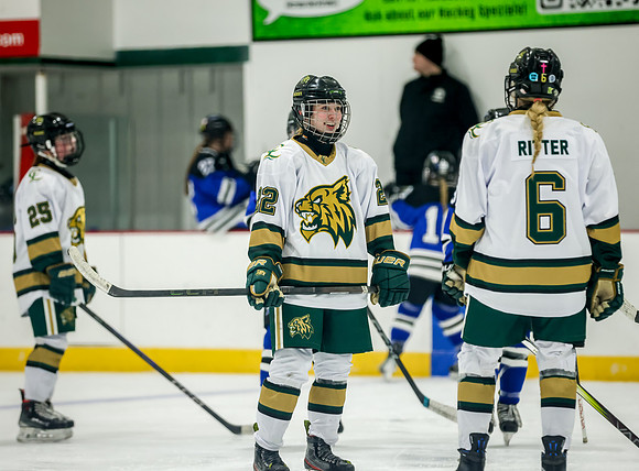 Chisago vs Rogers JV Hockey 360