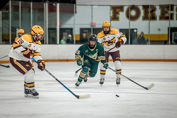 Chisago vs Forest Lake Varsity Hockey 211