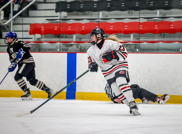 Centennial vs Holy Angels Varsity Hockey 50