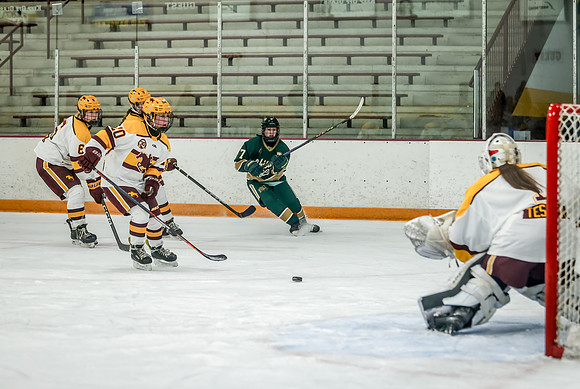 Chisago vs Forest Lake JV Hockey 118