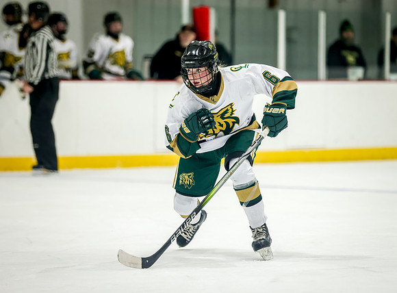 Chisago vs Rogers JV Hockey 207