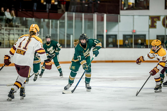 Chisago vs Forest Lake JV Hockey 206