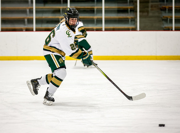 Chisago vs Rogers Varsity Hockey 17