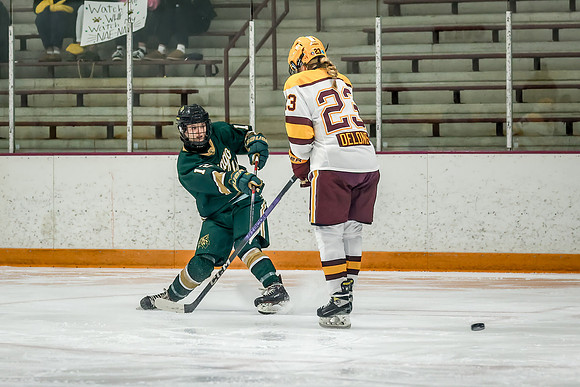 Chisago vs Forest Lake Varsity Hockey 254