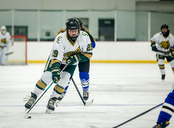 Chisago vs Rogers JV Hockey 89