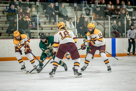 Chisago vs Forest Lake Varsity Hockey 194