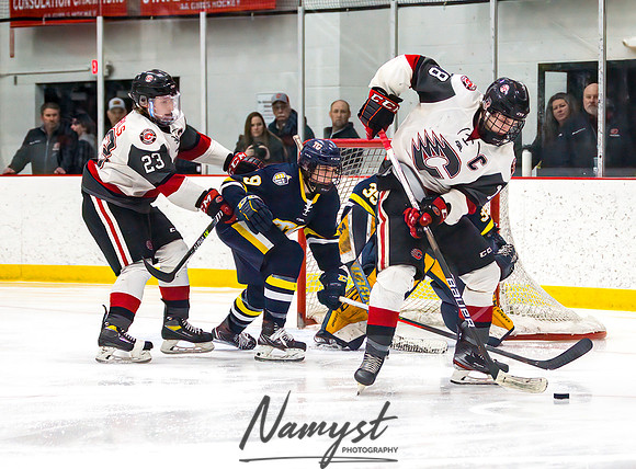 Centennial vs Totino-Grace Varsity Hockey 412