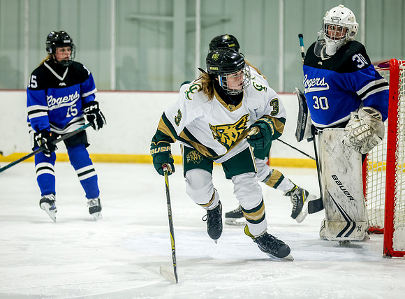 Chisago vs Rogers JV Hockey 350
