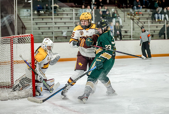 Chisago vs Forest Lake Varsity Hockey 147
