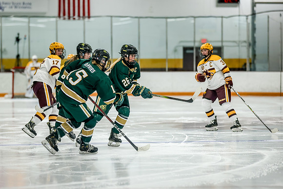 Chisago vs Forest Lake Varsity Hockey 376