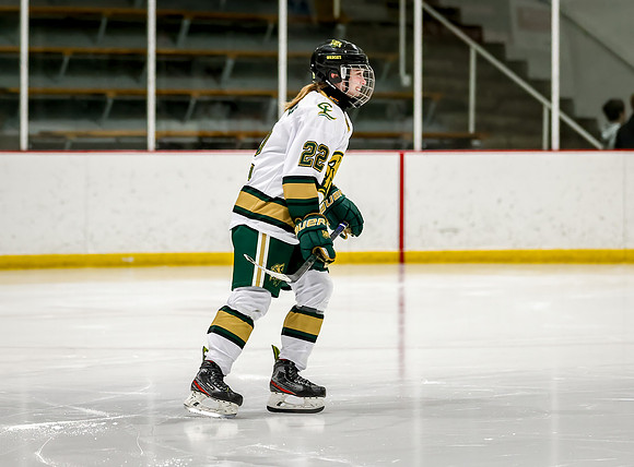 Chisago vs Rogers Varsity Hockey 62