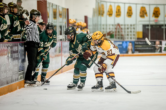 Chisago vs Forest Lake Varsity Hockey 312