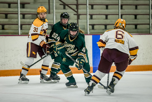 Chisago vs Forest Lake JV Hockey 101