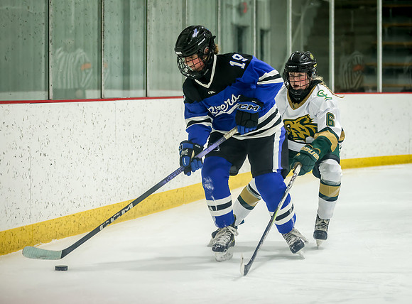 Chisago vs Rogers JV Hockey 114