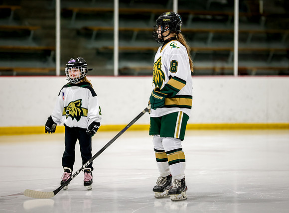 Chisago vs Rogers Varsity Hockey 57