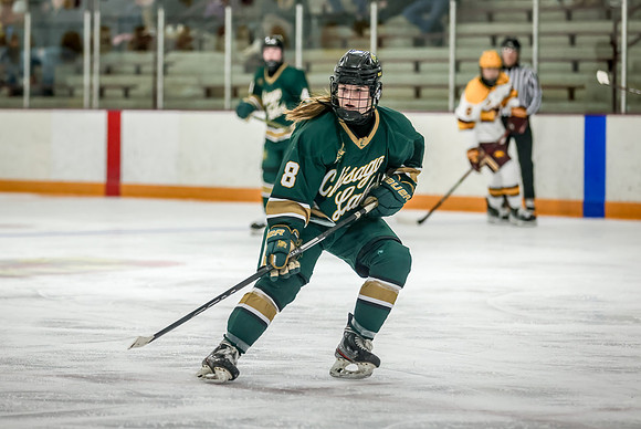 Chisago vs Forest Lake Varsity Hockey 268