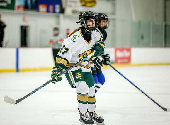 Chisago vs Rogers JV Hockey 196