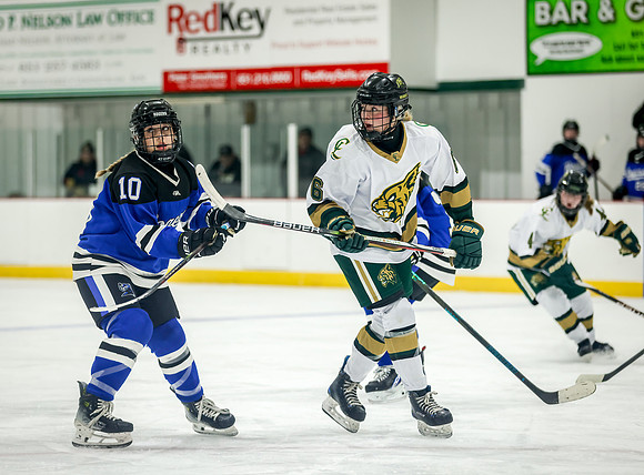 Chisago vs Rogers JV Hockey 379