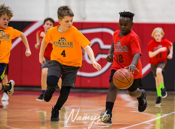 Centennial Basketball Association 193