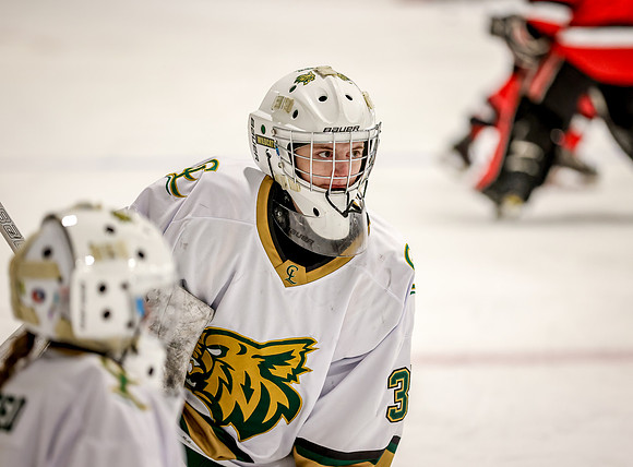 Chisago vs River Lake Stars Varsity Hoc 81