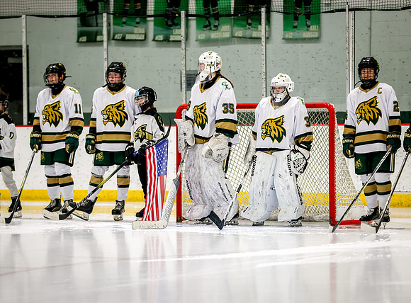 Chisago vs Rogers Varsity Hockey 71