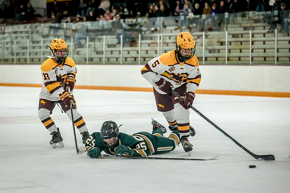 Chisago vs Forest Lake JV Hockey 147