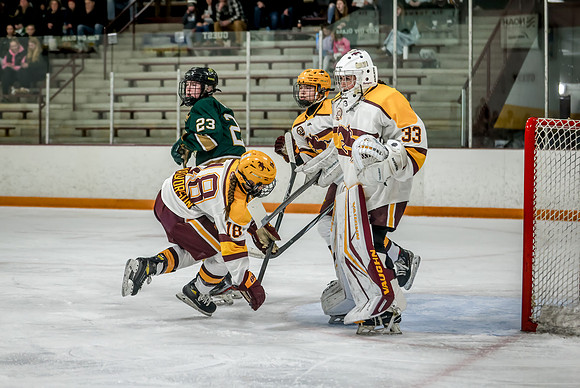 Chisago vs Forest Lake Varsity Hockey 301