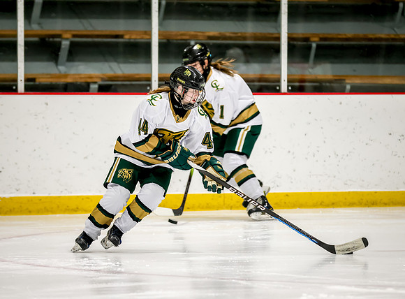 Chisago vs Rogers JV Hockey 31