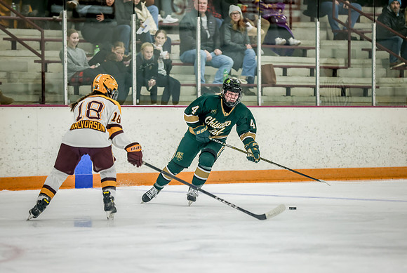 Chisago vs Forest Lake Varsity Hockey 201
