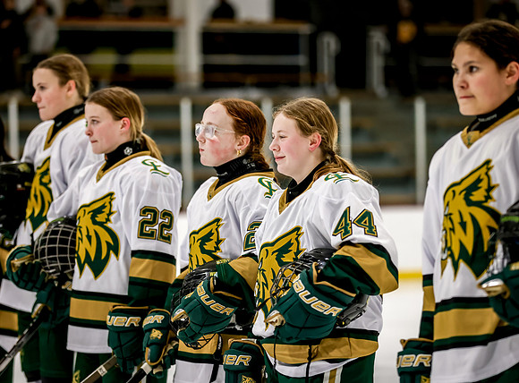Chisago vs Rogers Varsity Hockey 96