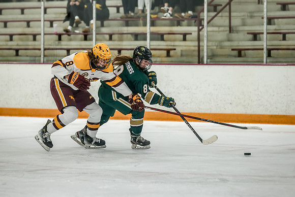 Chisago vs Forest Lake Varsity Hockey 284