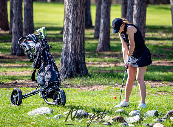 Centennial Girls Varsity Golf-219